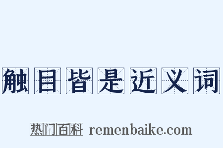 触目皆是近义词是什么意思的图片